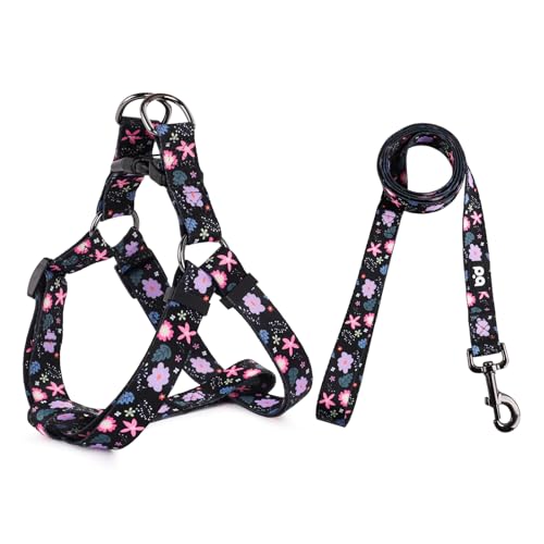 QQPETS Hundegeschirr mit Leine, verstellbar, strapazierfähig, kein Ziehen, für kleine, mittelgroße und große Rassen, Rückenclip, Anti-Verdrehen, perfekt zum Spazierengehen QQPETS Hundegeschirr mit Leine, verstellbar, strapazierfähig, kein Ziehen, für kleine, mittelgroße und große Rassen, Rückenclip, Anti-Verdrehen, perfekt zum Spazierengehen von QQPETS