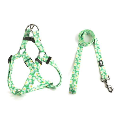 QQPETS Hundegeschirr mit Leine, verstellbar, strapazierfähig, kein Ziehen, für kleine, mittelgroße und große Rassen, Rückenclip, Anti-Verdrehen, perfekt zum Spazierengehen QQPETS Hundegeschirr mit Leine, verstellbar, strapazierfähig, kein Ziehen, für kleine, mittelgroße und große Rassen, Rückenclip, Anti-Verdrehen, perfekt zum Spazierengehen von QQPETS