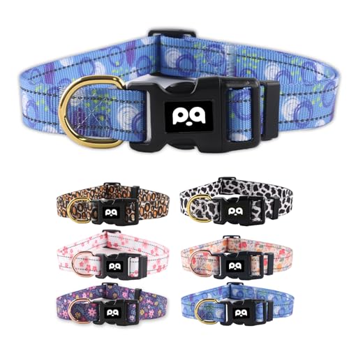 QQPETS Reflektierendes Hundehalsband für kleine Hunde, niedlicher Graffiti-Stil, verstellbar, strapazierfähiges Nylon-Halsband für Jungen und Mädchen, Welpen, weiche Haustier-Halskette mit QQPETS Reflektierendes Hundehalsband für kleine Hunde, niedlicher Graffiti-Stil, verstellbar, strapazierfähiges Nylon-Halsband für Jungen und Mädchen, Welpen, weiche Haustier-Halskette mit von QQPETS