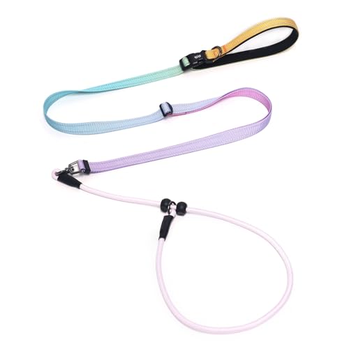 QQPETS Verstellbare Retrieverleine Hundeleine, Freihändige Taillenleine für Spaziergänge mit dem Hund, Reflektierende Trainingsleine mit 360° Drehgelenk, Anti-Verheddern, 1,2-2,1 m Länge für alle QQPETS Verstellbare Retrieverleine Hundeleine, Freihändige Taillenleine für Spaziergänge mit dem Hund, Reflektierende Trainingsleine mit 360° Drehgelenk, Anti-Verheddern, 1,2-2,1 m Länge für alle von QQPETS