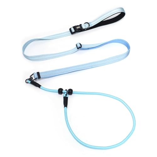 QQPETS Verstellbare Retrieverleine Hundeleine, Freihändige Taillenleine für Spaziergänge mit dem Hund, Reflektierende Trainingsleine mit 360° Drehgelenk, Anti-Verheddern, 1,2-2,1 m Länge für alle QQPETS Verstellbare Retrieverleine Hundeleine, Freihändige Taillenleine für Spaziergänge mit dem Hund, Reflektierende Trainingsleine mit 360° Drehgelenk, Anti-Verheddern, 1,2-2,1 m Länge für alle von QQPETS