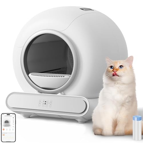 Selbstreinigende Katzentoilette, Katzenklo Selbstreinigend Extra 65L/Abnehmbarer Sandkontrollkasten/APP-Steuerung Selbstreiniges Katzenklo/Automatische Elektrisches Katzenklo für Mehrere Katzen Selbstreinigende Katzentoilette, Katzenklo Selbstreinigend Extra 65L/Abnehmbarer Sandkontrollkasten/APP-Steuerung Selbstreiniges Katzenklo/Automatische Elektrisches Katzenklo für Mehrere Katzen von QSMYOYE
