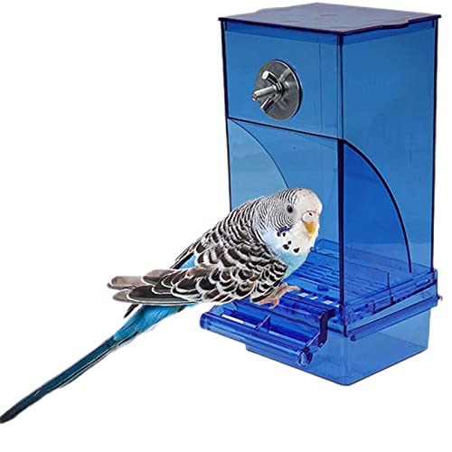 QSWL Parrot Integrierter Futterautomat, Parrot Integrierter Futterautomat, Sauberer Acryl-Futterbehälter mit Sitzstange für kleine Vögel, Papageien, Kanarienvögel, Nymphensittiche, Lovebirds von QSWL