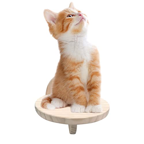 Schwimmende Katzenstange | Montiertes Katzenregal aus Holz,Katzenwandmöbel, Katzenwandregal Wandkletterer für Katzen Indoor-Aktivitäten zum Spielen und Springen Qswl von QSWL