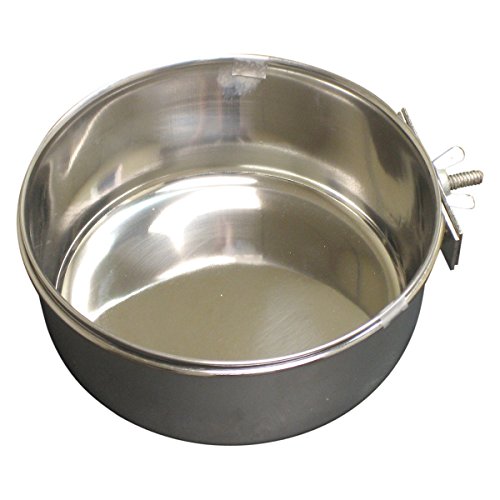 QT Dog - Stallbecher mit Klemme, 2,7 l, 2 Stück von QT Dog