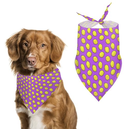 Dreieckstuch für Haustiere, Hunde, verstellbar, atmungsaktiv, weich, für kleine, mittelgroße und große Hunde Dreieckstuch für Haustiere, Hunde, verstellbar, atmungsaktiv, weich, für kleine, mittelgroße und große Hunde von QTAVETEND