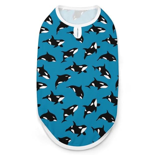 Killerwal Schwimm-Shirt, für Haustiere, Katzen, ärmellos, Tanktop, atmungsaktiv, für kleine Welpen, Größe XXL Killerwal Schwimm-Shirt, für Haustiere, Katzen, ärmellos, Tanktop, atmungsaktiv, für kleine Welpen, Größe XXL von QTAVETEND