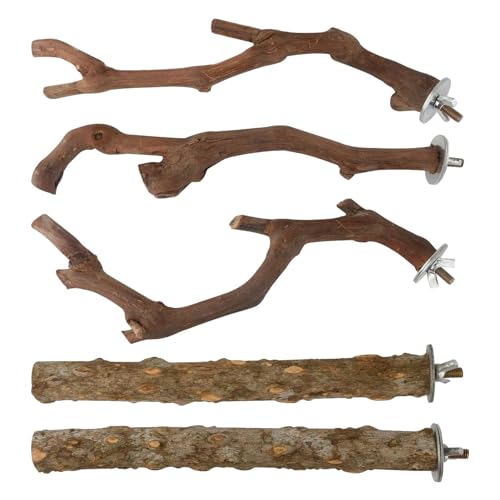 Vogelkäfig-Sitzstangen – 5 Stück Naturholz Vogelstangen für Käfig | Papageien-Sitzstangen | Wellensittich Sitzstangen für Käfig | Vogelkäfigzubehör für kleine oder mittelgroße Papageien, Vogelkäfig-Sitzstangen – 5 Stück Naturholz Vogelstangen für Käfig | Papageien-Sitzstangen | Wellensittich Sitzstangen für Käfig | Vogelkäfigzubehör für kleine oder mittelgroße Papageien, von QTFYE
