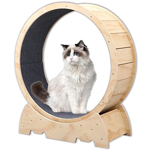 Katzen-Laufrad, Indoor-Katzenspielzeug, Laufrad, niedliches Naturholz-Katzenrad für alle Katzen, Gewichtsverlust (D106 cm), Natur) von QTQHOME