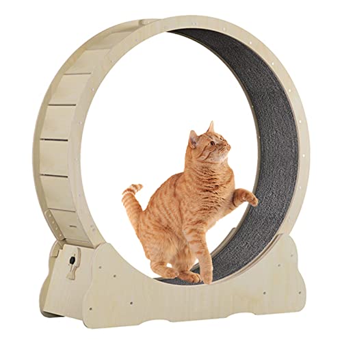Laufrad für den Innenbereich, ultra-leises Laufrad, Katzenspielzeug, Katzenlaufband mit Verriegelung, Fitness-Gewichtsverlustgerät, einfach montiertes Katzenlaufband (D90 cm, Natur) von QTQHOME