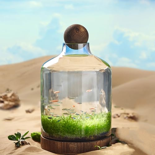 Mikrolandschaftsflasche zum Selbermachen, Glasflaschen, Glas-Terrarium-Behälter, Mikro-Landschaft, DIY-Flasche, Pflanzen, Mikro-Landschaftsvase, Landschaftsbau-Flasche (48 x 27 cm), D) von QTQHOME