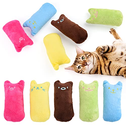 10 Stück Katzenspielzeug Maus Mit Katzenminze - Interaktives Plüsch Spielzeug für Katzen und Kätzchen - Kauspielzeug Mäuse 10 Stück Katzenspielzeug Maus Mit Katzenminze - Interaktives Plüsch Spielzeug für Katzen und Kätzchen - Kauspielzeug Mäuse von QUACOWW