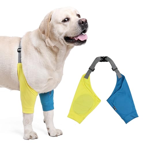 Hunde-Ellenbogenschutz für Schwielen, Hunde-Wiederherstellungsärmel für Vorderbeine, Hundebeingelenk-Schutz-Ellenbogenschützer mit Gummiband, Hundehose gegen Lecken von Wunden (Blau & Gelb, X-Large) von QUEBRAN
