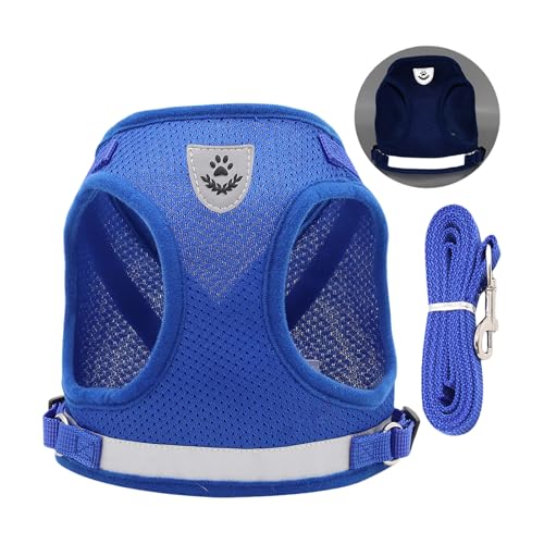 QUEENYARD Hundegeschirr, reflektierend, atmungsaktiv, Netzweste mit Seil für kleine Hunde, sicheres Design, Haustier-Outdoor-Ausrüstung QUEENYARD Hundegeschirr, reflektierend, atmungsaktiv, Netzweste mit Seil für kleine Hunde, sicheres Design, Haustier-Outdoor-Ausrüstung von QUEENYARD