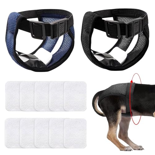 2 Stück Hundewindeln für Hündinnen Rüden, Wiederverwendbare Hund Läufigkeitshose Hundehöschen, Waschbare Verstellbare Schutzhose Hunde Windeln für Bundweite 50-60 cm Large, mit 10 Damenbinden von QUIIEOSKIA