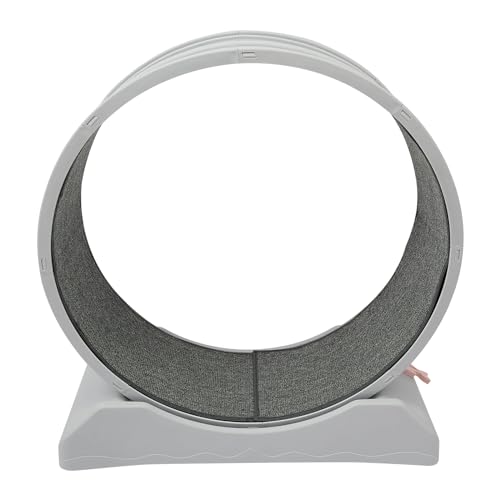 QUIOTUIR Katzenlaufrad, Katzenrad, Nahtloses Design, Cat Wheel, Laufrad für Katzen, Raddurchmesser 80cm, Abnehmbare Teppich, für Haushalte, Zoohandlungen, Einfache Installation QUIOTUIR Katzenlaufrad, Katzenrad, Nahtloses Design, Cat Wheel, Laufrad für Katzen, Raddurchmesser 80cm, Abnehmbare Teppich, für Haushalte, Zoohandlungen, Einfache Installation von QUIOTUIR