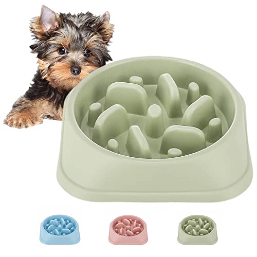 Dog Slow Feeder, rutschfestes Puzzle-Haustier Langsamere Futterfütterungsgerichte, langlebig, um Erstickungsgefahr zu vermeiden, Grün Dog Slow Feeder, rutschfestes Puzzle-Haustier Langsamere Futterfütterungsgerichte, langlebig, um Erstickungsgefahr zu vermeiden, Grün von QUMENEY