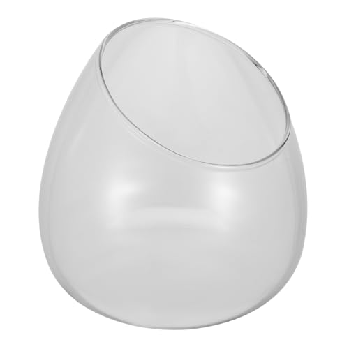 QUMIIRITY 1Stück Schräge Glasvase Für Mikrolandschaften Transparentes Terrarium Für Sukkulenten Und Pflanzen Robustes Design Für Kreative Dekoration Für Zuhause Geschäfte QUMIIRITY 1Stück Schräge Glasvase Für Mikrolandschaften Transparentes Terrarium Für Sukkulenten Und Pflanzen Robustes Design Für Kreative Dekoration Für Zuhause Geschäfte von QUMIIRITY