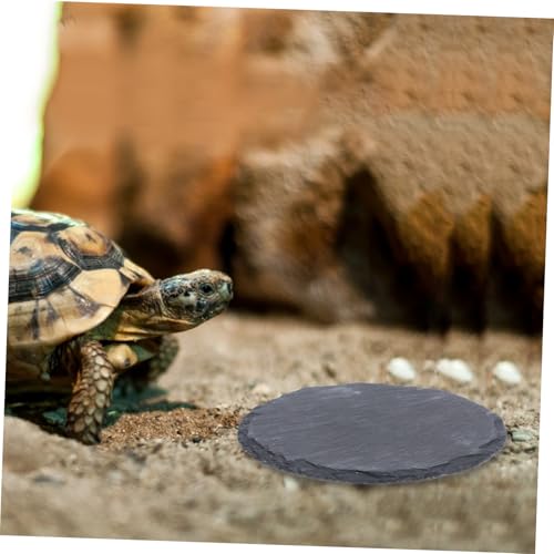 QUMIIRITY 2 Stück Natürliche Schildkröten Sonnenplattform aus Stein rutschfeste Reptilien Bade Futterplatte für Terrarium Geeignet für Schildkröten Eidechsen Geckos und Schlangen von QUMIIRITY