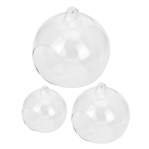 QUMIIRITY 3 Stück Hängende Glaskugel Vase Transparente Pflanzenbehälter für DIY Mikrolandschaften für Home Decor Terrarium und Bürodekoration von QUMIIRITY