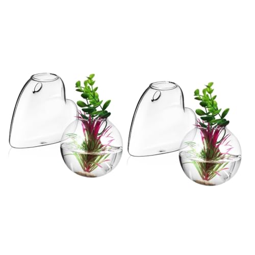 QUMIIRITY 4stücke Hängende Glas Pflanzenvase Wandbehänge Für Hydroponik Pflanzen Transparentes Terrarium Für Sukkulenten Und Aquarien Hochborosilikatglas Mit Einfacher Befüllung Und QUMIIRITY 4stücke Hängende Glas Pflanzenvase Wandbehänge Für Hydroponik Pflanzen Transparentes Terrarium Für Sukkulenten Und Aquarien Hochborosilikatglas Mit Einfacher Befüllung Und von QUMIIRITY