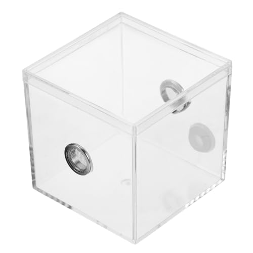 QUMIIRITY Transparente Insekten Habitat Box Terrarium für Verschiedene Insektenarten Leicht zu Reinigende Zuchtbox Optimale Sichtbarkeit für Spinnen und Grillen Klarer Insektenkäfig von QUMIIRITY