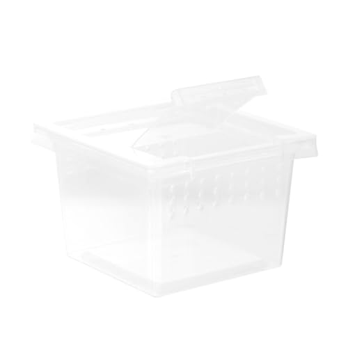 QUMIIRITY Transparente Reptilien Zuchtbox aus Kunststoff mit Belüftung Stabilem Praktischem Futterbehälter für Spinnen Geckos Schlangen und Kleine Haustiere Langlebig und Leicht zu Reinigen von QUMIIRITY