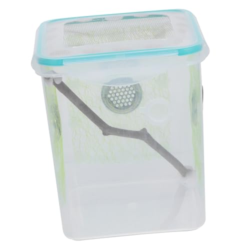 QUMIIRITY Transparente Zuchtbox für Reptilien und Insekten mit Atmungsaktiven Seitenlöchern Klarer Sicht Vielseitig Einsetzbar als Terrarium für Gottesanbeterin Spinnen Grillen und QUMIIRITY Transparente Zuchtbox für Reptilien und Insekten mit Atmungsaktiven Seitenlöchern Klarer Sicht Vielseitig Einsetzbar als Terrarium für Gottesanbeterin Spinnen Grillen und von QUMIIRITY