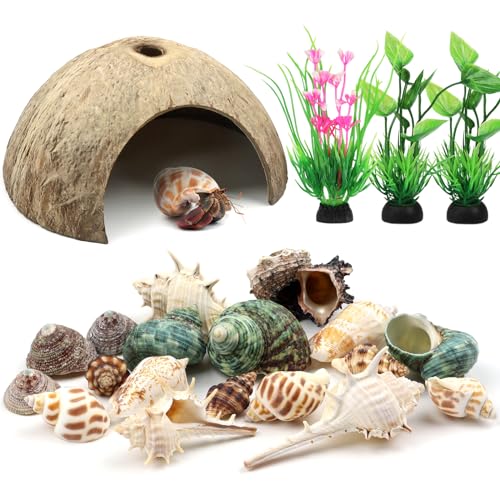 QUOZUO Einsiedlerkrebs-Schalen, natürliche Kokosnussschale, künstliche Pflanzen, 22 Stück Einsiedlerkrebs-Zubehör, Muscheln für Haus Einsiedlerkrebs Tank Habitat von QUOZUO