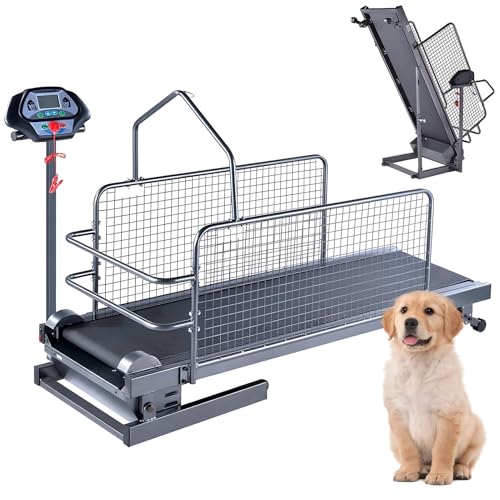 QUTBAG Hundelaufmühle für große mittelgroße Hunde, multifunktionales Haustier-Training-Laufband mit LCD-Display-Geröll, Geschwindigkeit 0,8-12 km/h, bis zu 220 lb, für Hunde im Innen und Außenbereich QUTBAG Hundelaufmühle für große mittelgroße Hunde, multifunktionales Haustier-Training-Laufband mit LCD-Display-Geröll, Geschwindigkeit 0,8-12 km/h, bis zu 220 lb, für Hunde im Innen und Außenbereich von QUTBAG