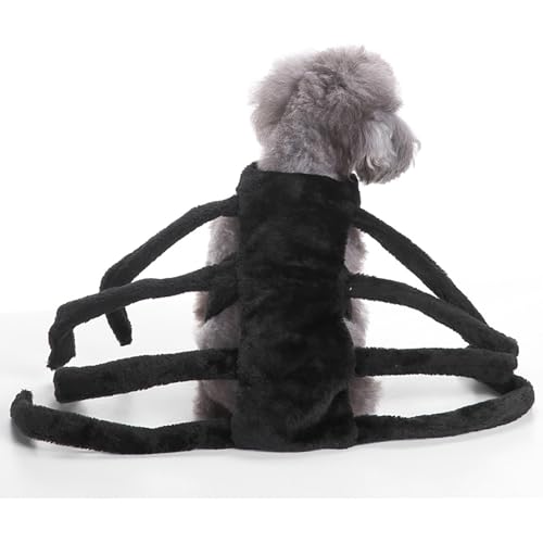 Halloween-Hexenkostüm-Set für Welpen, Halloween-Partykleid und -Hut, Festliche, lustige Kostüm-Requisiten, geeignet für die Feiertagsverkleidung von Katzen und Hunden (Black,Large) von QVK