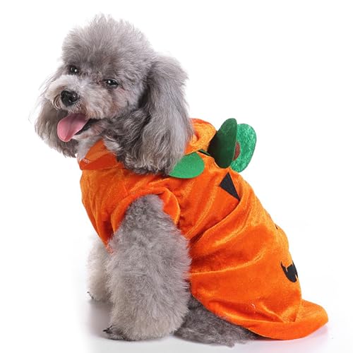 Halloween-Hexenkostüm-Set für Welpen, Halloween-Partykleid und -Hut, Festliche, lustige Kostüm-Requisiten, geeignet für die Feiertagsverkleidung von Katzen und Hunden (Orange,Medium) von QVK