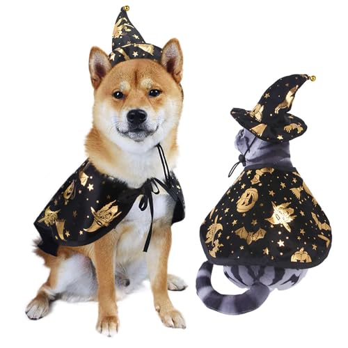 Halloween-Hexenumhang mit Haustierdruck für Cosplay-Partydekorationen, geeignet für Halloween-Kostüme für Katzen und kleine Hunde (Medium) von QVK