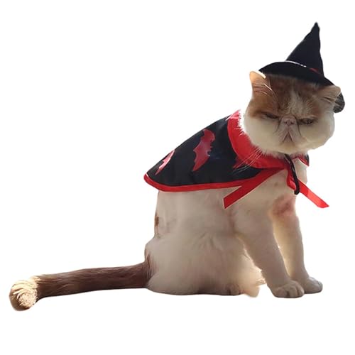 Halloween Katzenumhang Hexenkostüm, Umhang und Hexenhut, Katzen- und Kleinhunde-Rollenspiel (Black,Einheitsgröße) von QVK