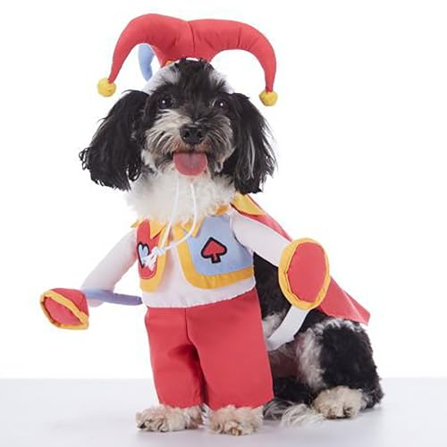 Halloween-Kostüme für Haustiere, interessanter Geschmack, Hunde- und Katzen-Kostüm, Party-Rollenspiel-Zubehör, geeignet für Halloween-Party-Dekorationen (Gelb, S) von QVK