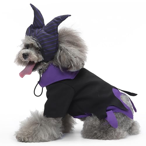 Halloween Kreative Katzen- und Hundekostüme, lustige Transformation, geeignet für Halloween-Party-Rollenspiel-Kostüme, Welpen- und Kätzchen-Verkleidungszubehör (Lila, M) von QVK