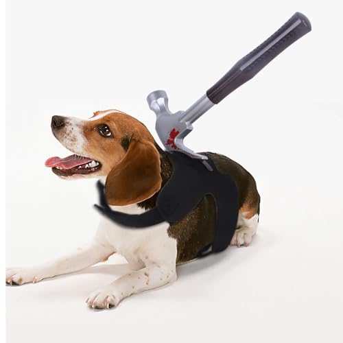 Halloween- und Weihnachts-Horrorkostüme für Haustiere, kreative und interessante Verwandlungskostüme für Katzen und Hunde, lustige Halloween-Kostüme für Haustiere (Black,Medium) von QVK