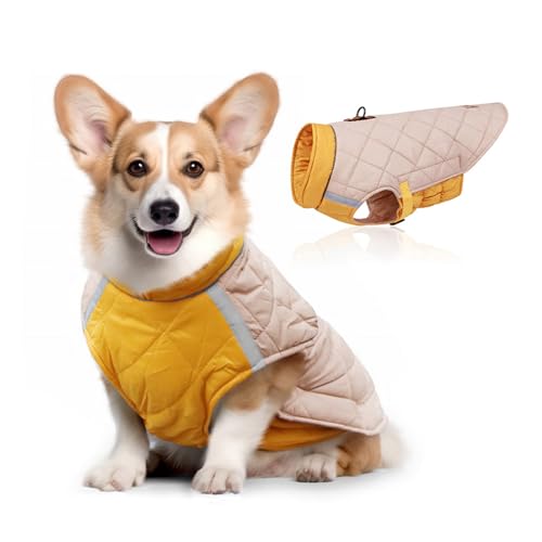 Hunde-Wintermantel, winddicht und warm, für kaltes Wetter, Jacke mit reflektierendem Band, Klettverschluss und elastischer Taille, Hundekleidung für kleine, mittelgroße und große Hunde (Gelb, L) von QVK