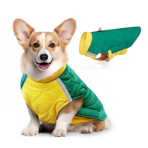 Hunde-Wintermantel, winddicht und warm, für kaltes Wetter, Jacke mit reflektierendem Band, Klettverschluss und elastischer Taille, Hundekleidung für kleine, mittelgroße und große Hunde (Grün, L) von QVK