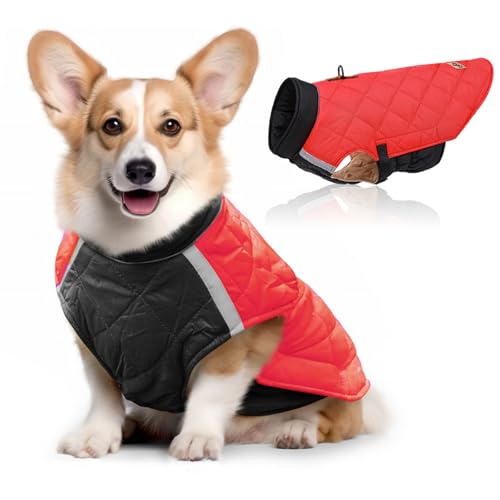 Hunde-Wintermantel, winddicht und warm, für kaltes Wetter, Jacke mit reflektierendem Band, Klettverschluss und elastischer Taille, für kleine, mittelgroße und große Hunde (Rot, M) von QVK