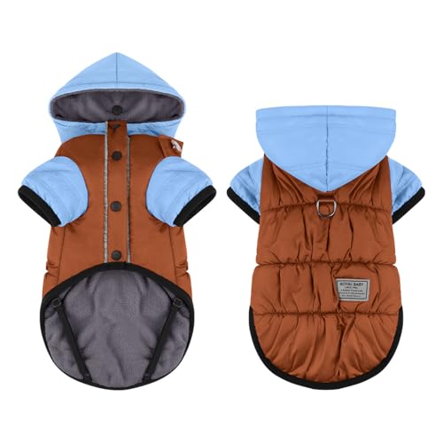 Hundejacke, wasserdicht, warm, Hunde-Wintermantel, Weste mit Hut, verstellbare Schnalle, für kaltes Wetter, für drinnen und draußen, Hundejacken für kleine, mittelgroße und große Hunde (Blau, Größe M) von QVK