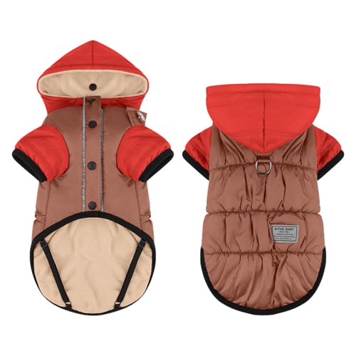 Hundejacke, wasserdicht, warm, Hunde-Wintermantel, Weste mit Hut, verstellbare Schnalle, für kaltes Wetter, für drinnen und draußen, Hundejacken für kleine, mittelgroße und große Hunde (Rot, L) von QVK