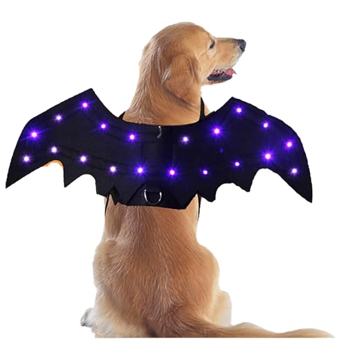 Hundekostüm mit Fledermausflügeln, leuchtendes Halloween-Kostüm mit violetten Lichtern, lustiges Halloween-Kostüm für kleine und mittelgroße Katzen, Party-Haustier-Kostüm, Rollenspiele Hundekostüm mit Fledermausflügeln, leuchtendes Halloween-Kostüm mit violetten Lichtern, lustiges Halloween-Kostüm für kleine und mittelgroße Katzen, Party-Haustier-Kostüm, Rollenspiele von QVK