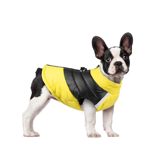 Hundemantel, Kaltwetterjacke, gesteppter Haustier-Overall mit D-Ring, warm gepolstert, Winter, Herbst, Welpenjacke, Yorkie, Chihuahua, Kleidung (Größe XXXL) von QVK