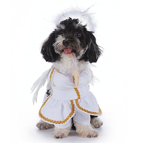 Lustige Halloween-Haustier-Fledermauskostüme, Hunde- und Katzenparty-Rollenspiel-Requisiten, geeignet für Katzen und kleine und mittelgroße Hunde, Halloween-Party-Dekorationen (White,XL) von QVK