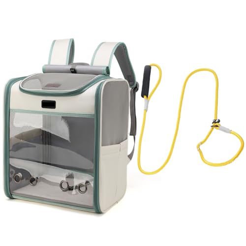 Tragbare Haustier-Handtaschen und Rucksack, transparenter Fenstermund, für Katzen unter 7,3 kg. Mit Leine, geeignet für Reisen, Wandern und Außenbereich (grün) von QVK