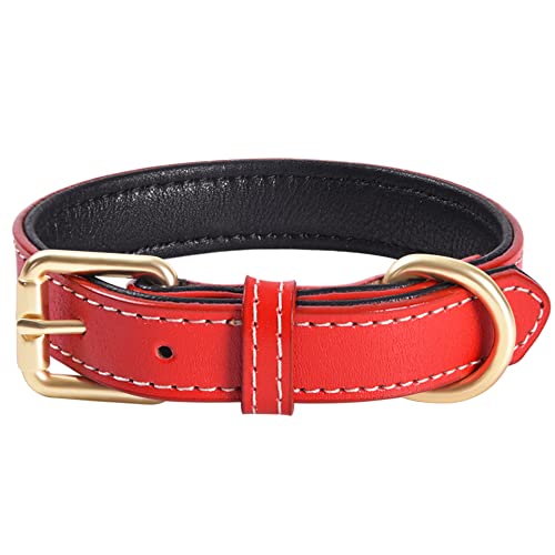 Echtes Leder gepolstertes Hundehalsband Bequemes, Starkes, weiches Halsband für kleine, mittelgroße und große Rassenhunde （Rot）(S) von QWBWAN
