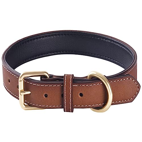 Echtes Leder gepolstertes Hundehalsband Bequemes, Starkes, weiches Halsband für kleine, mittelgroße und große Rassenhunde （Braun）(M) von QWBWAN