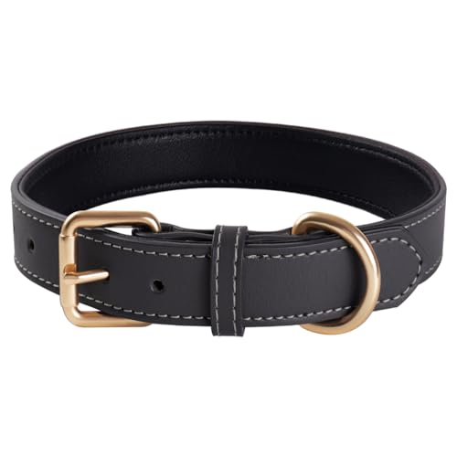 Echtes Leder gepolstertes Hundehalsband Bequemes, Starkes, weiches Halsband für kleine, mittelgroße und große Rassenhunde（Grau）(L) von QWBWAN