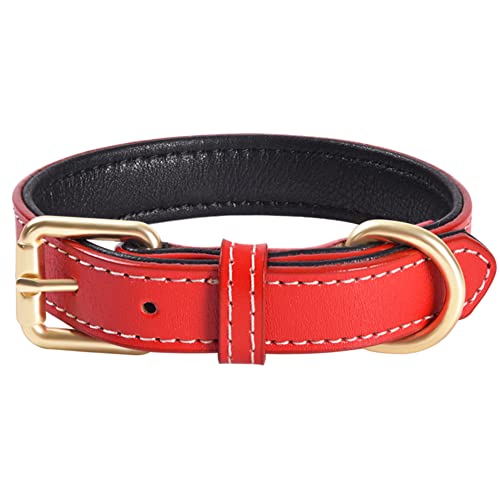 Echtes Leder gepolstertes Hundehalsband Bequemes, Starkes, weiches Halsband für kleine, mittelgroße und große Rassenhunde （Rot）(M) von QWBWAN